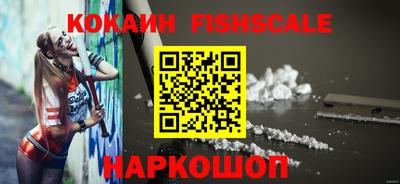 индика Донецк