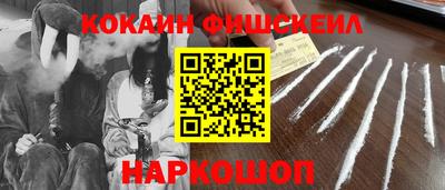 индика Донецк