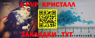 СК Донской
