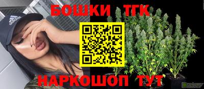 СК Донской